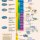 Know : The History of Life on Earth in one Page