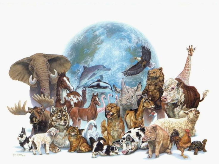 Earth Our Home Too : List of 1500 Animals (click for facts/pictures) –  PROPEL STEPS